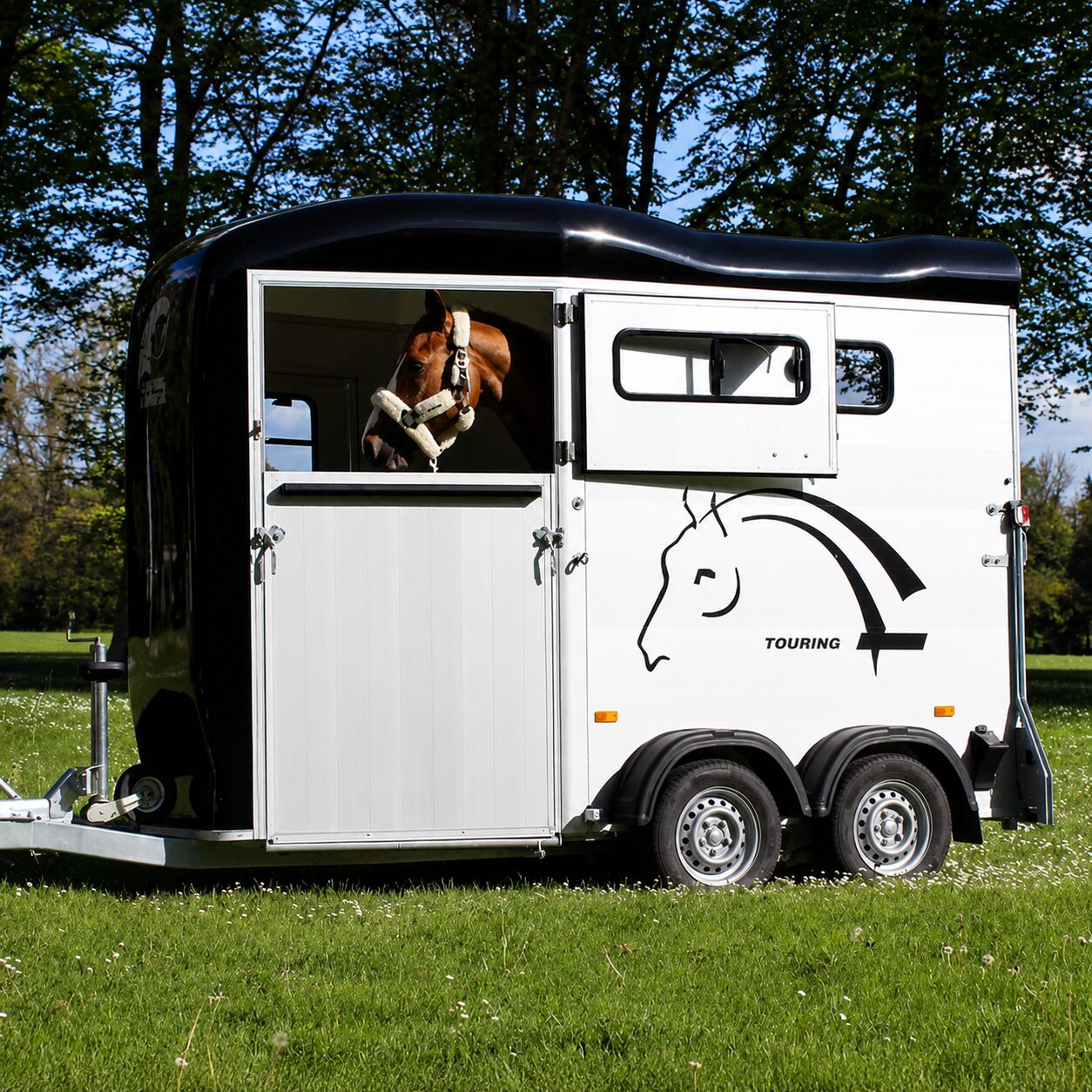 Cheval Liberté Touring One Pferdeanhänger für 1,5 Pferde